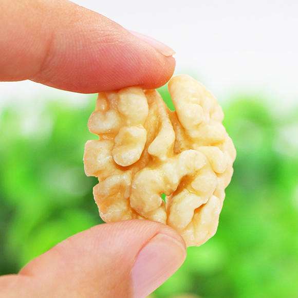 果蔬自動(dòng)烘干機(jī)