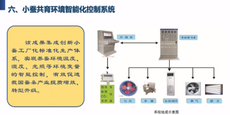 馬鈴薯清洗機(jī)